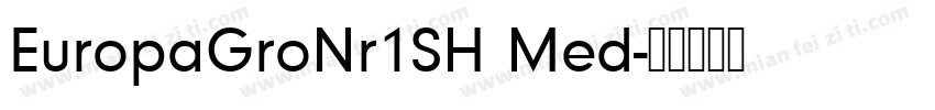 EuropaGroNr1SH Med字体转换